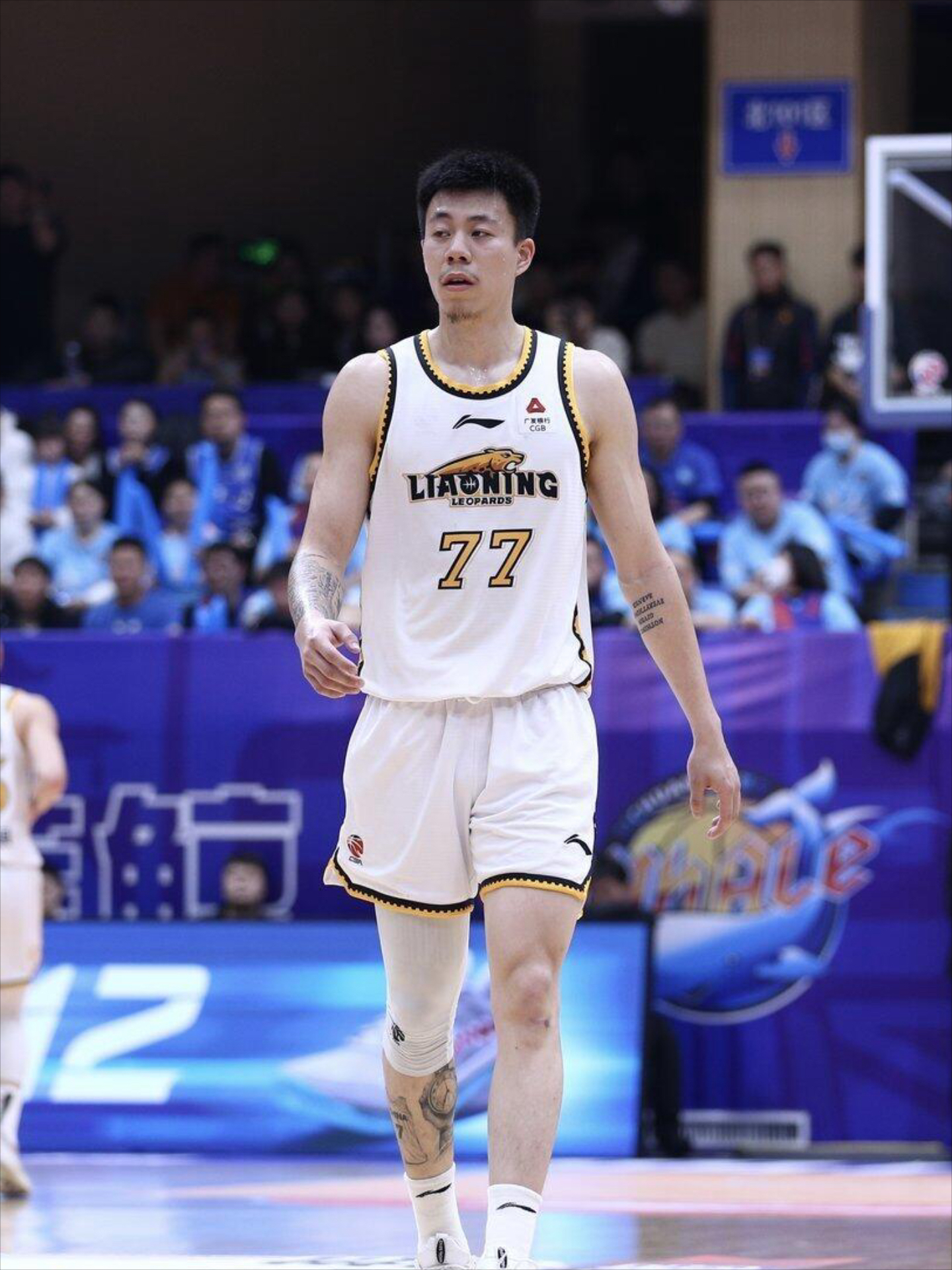 关于吉林男篮士气高昂,多场成功属于他们的信息